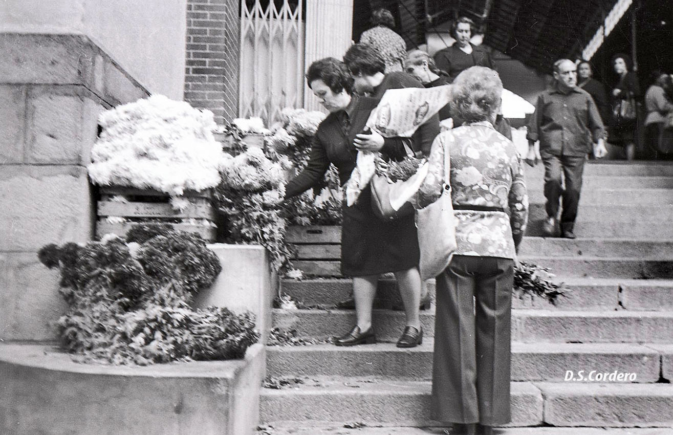 CACHOS DE VIDA FLORES PARA EL CEMENTERIO