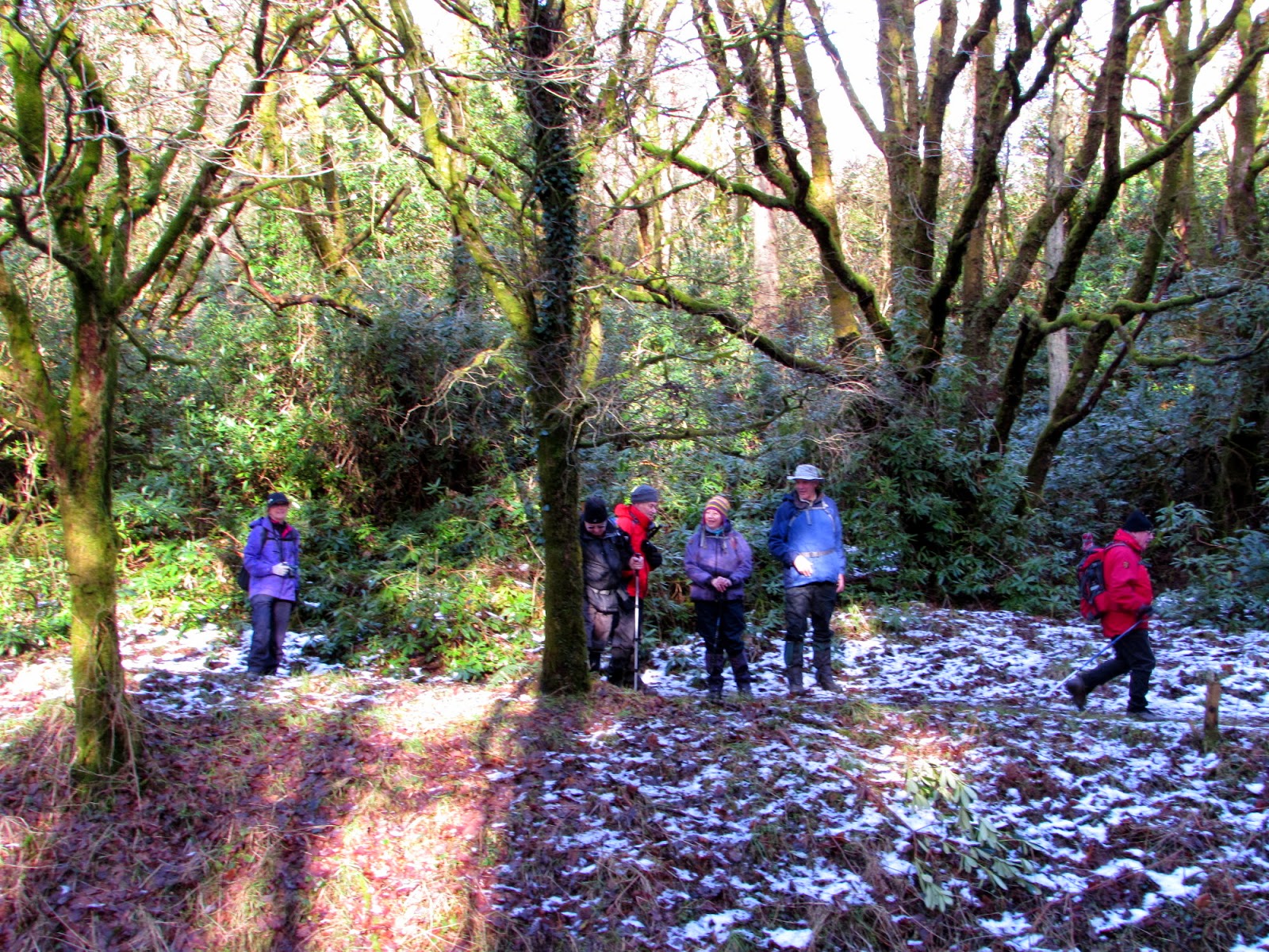 The Glebe Blog Wigtownshire RamblersSt Helena IslandGlenluce Abbey January 2015