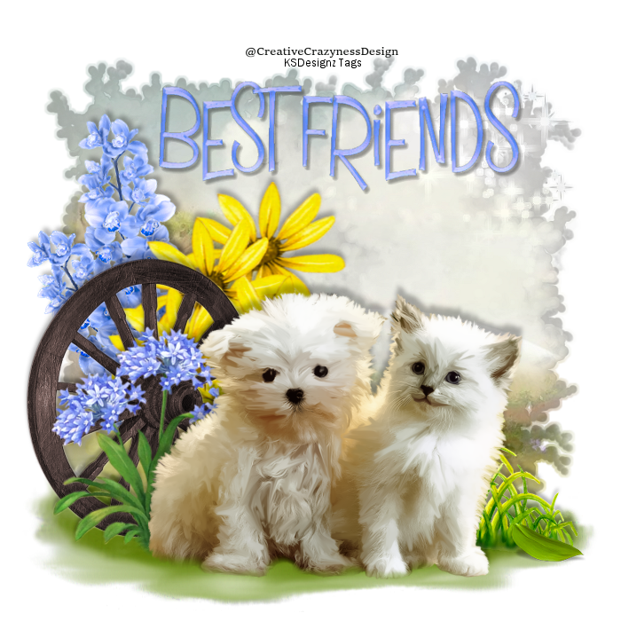 KSDesignz Tag Shares Freebie Tag Share Best Friends CCD