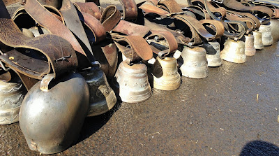la laiterie de paris, montée en estive, vache salers, cantal, salers tradition, gaec salat, fromage, transhumance cantal, fête de l'estive allanche, blog fromage, blog fromage maison, cloche vache, faire du fromage, fabrication cantal, fabrication salers