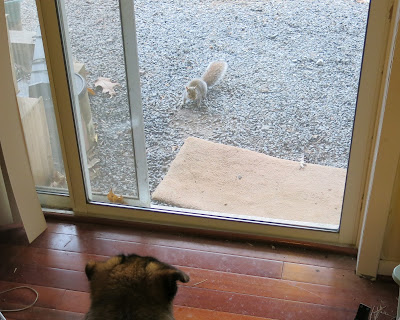 Theda and Nutkin, November 28, 2016, 8:15:46 AM