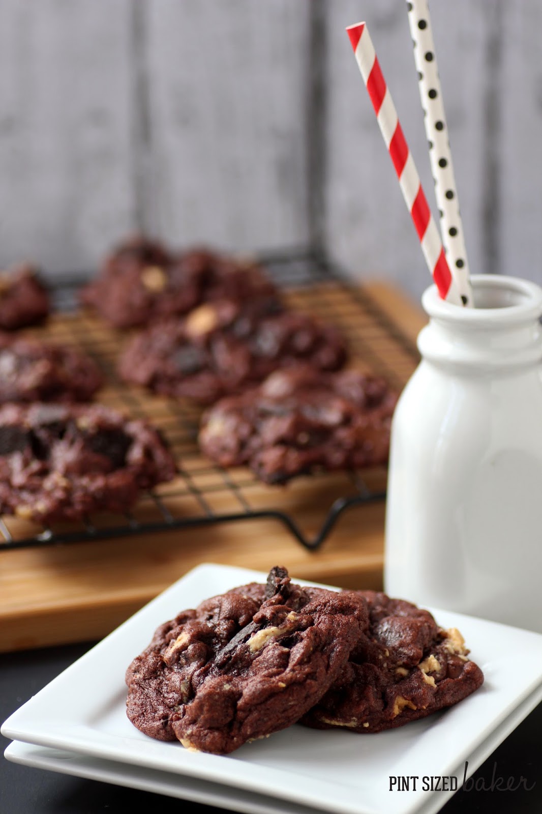 Reese's Peanut Butter Chocolate Pudding Cookies 2 1+ps+PB+Chocolate+Pudding+Cookies+(21)