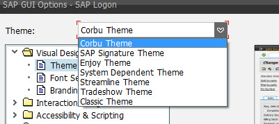 Corbu Color SAP Champs..: 2013