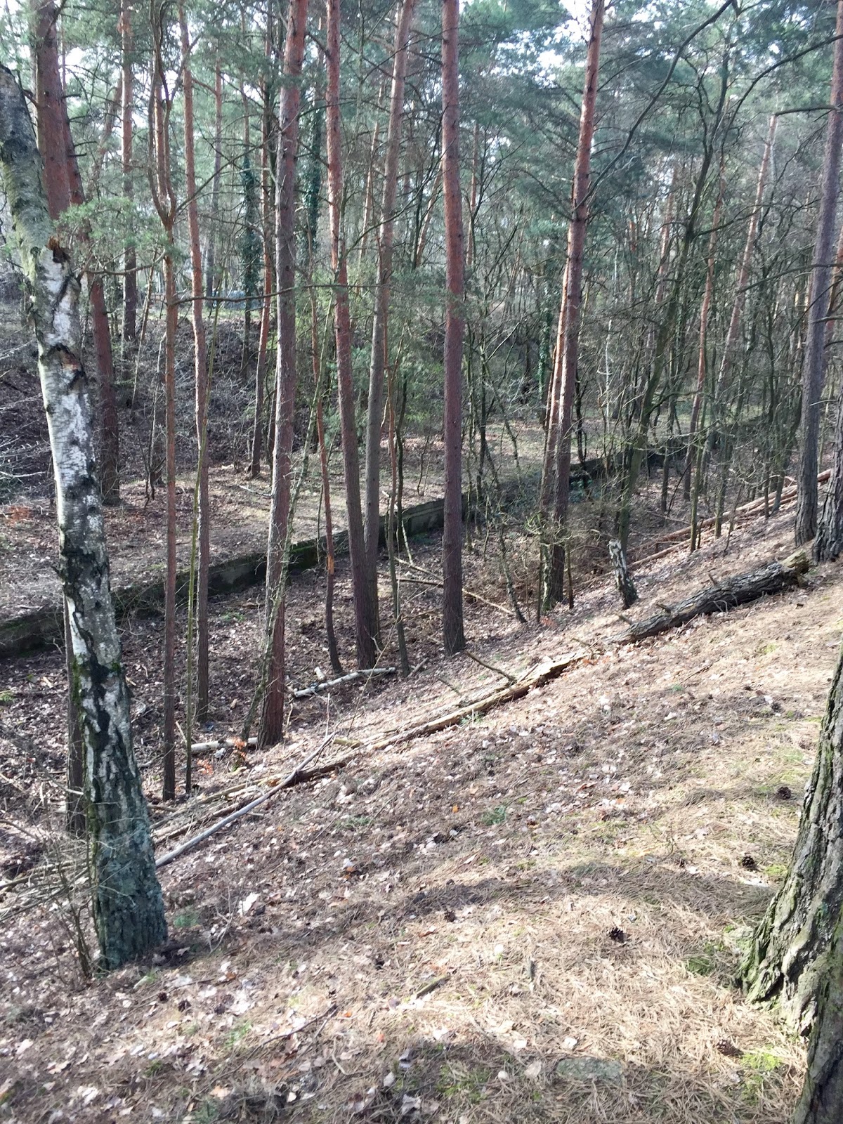 Café Deutschland Geisterbahn SBahnhof Dreilinden