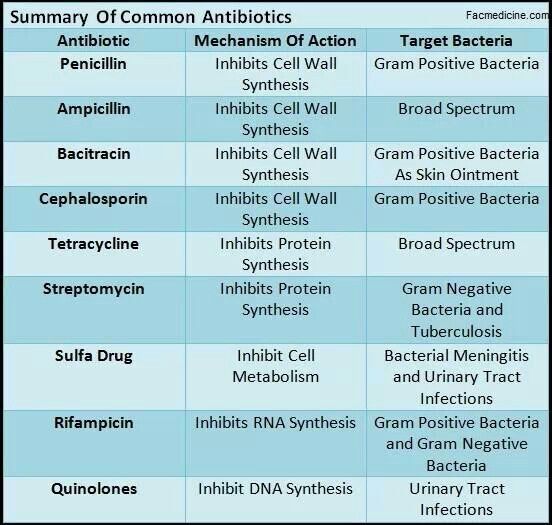 Summary of Common Antibiotics