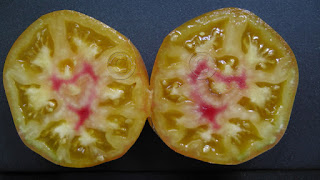 Tomate Allemande Dorée