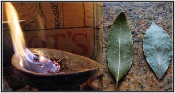 Just Burn A Bay Leaf In Your Home. Everyone Will Want To Try This Trick