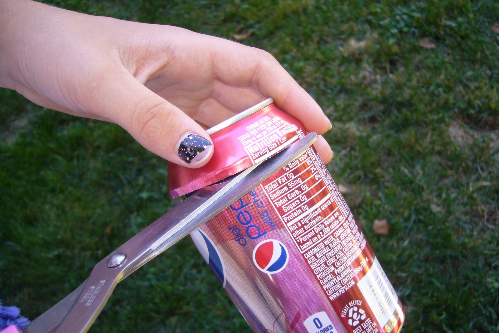 Holly's Creativity Blog soda can art
