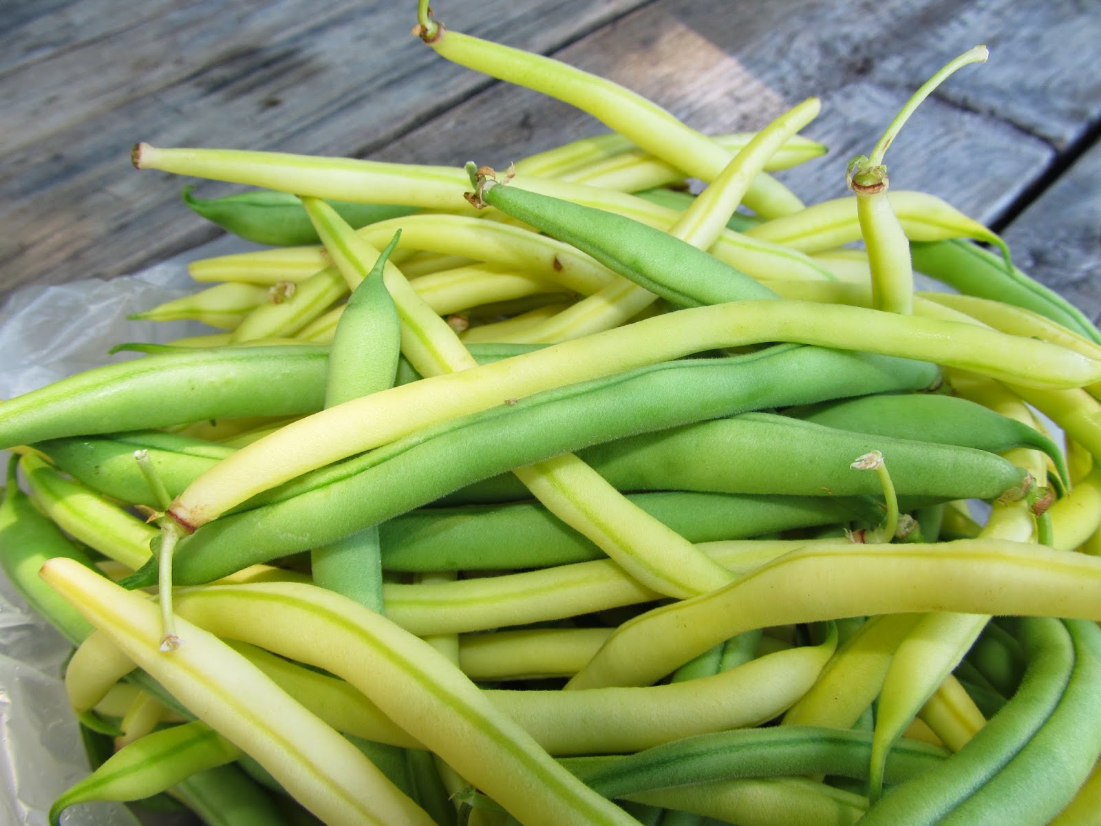 Green And Yellow Beans (2).JPG