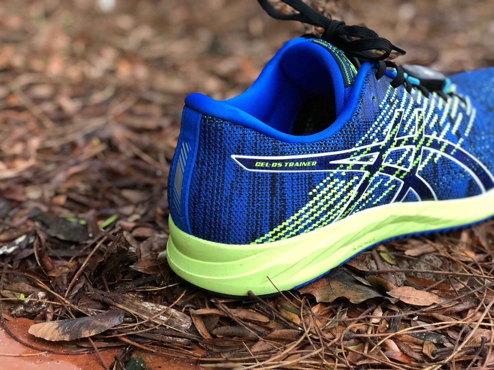 Road Trail Run: Gel-DS Trainer 24: Like An Old Sweater (That Doesn't Quite Fit)