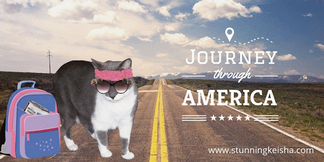 Journey Through America #ChewyInfluencer