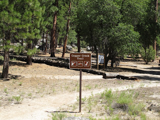 Der Anfang des Abenteuers - Copper Creek Trail