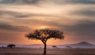 Ini Alasan Mengapa Anda Wajib Liburan ke Afrika! Ini Alasan Mengapa Anda Wajib Liburan ke Afrika!