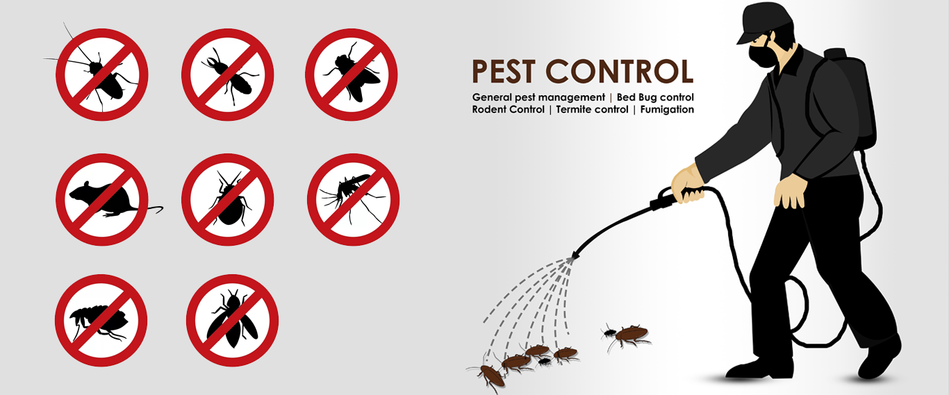 World Pest Control Day Pest Control