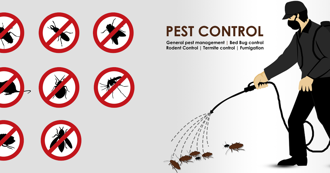 “WORLD PEST AWARENESS DAY” A REMINDER OF HOW PROFESSIONAL PEST