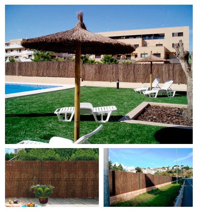 Plantas y Flores, plantas especies : Jardín valla