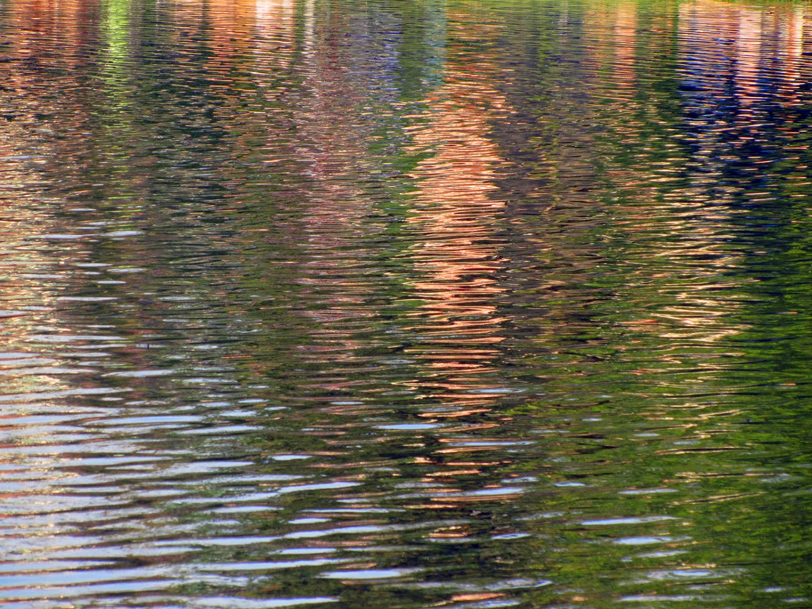 reflections of buildings in a pond
