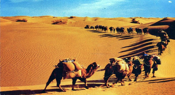 Bangsa Arab Bangsa Arab