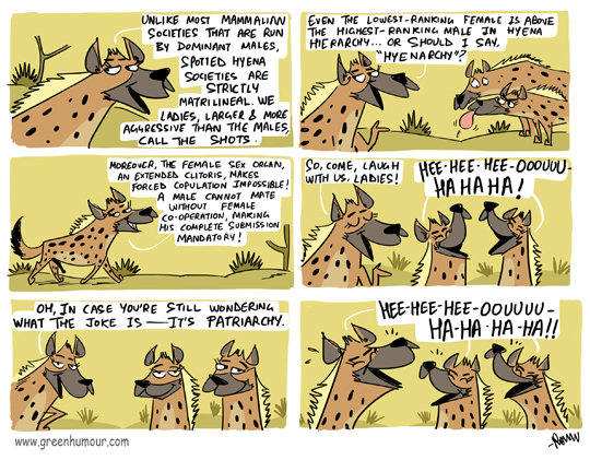 There Are No Hyenas In This Comic