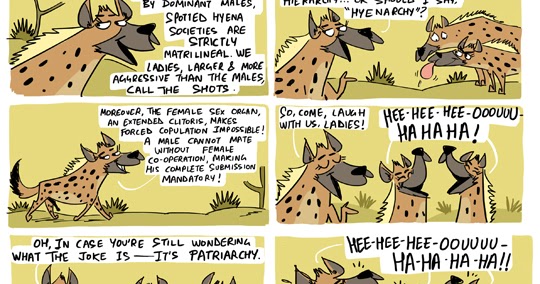 Green Humour: Smashing Patriarchy with Spotted hyenas