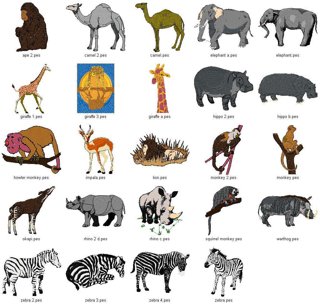 African Animals List : Animal Species Of Africa - As the iucn red list ...