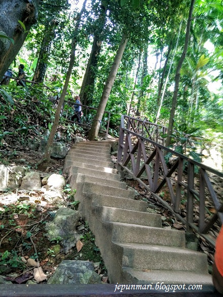 Mendaki di Taman ECO Rimba, KL