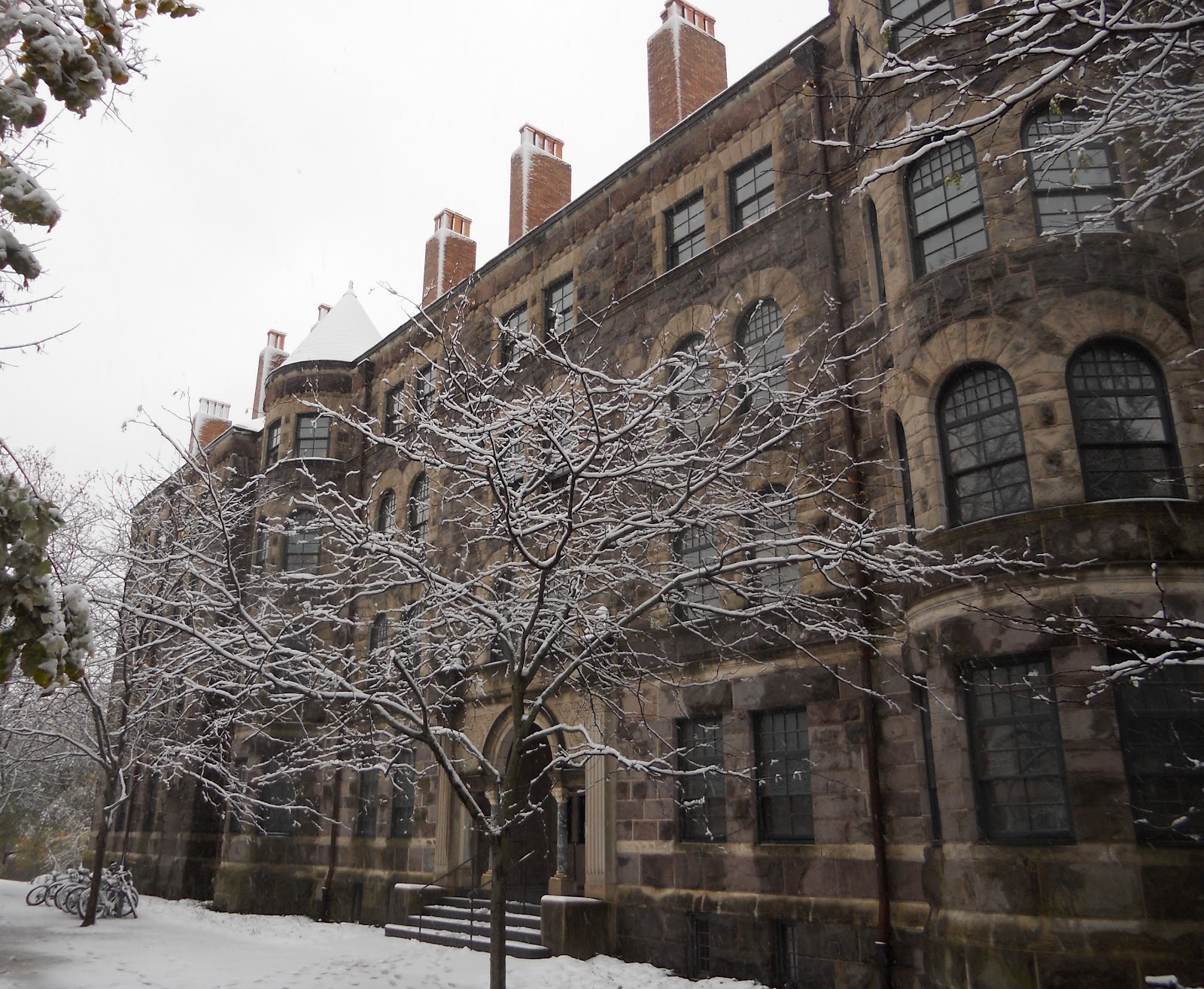 Nature Photography: First Snow at Princeton
