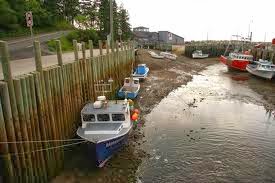 Playa De La Marea Baja En La Bahía De Fundy Nuevo Brunswick - El