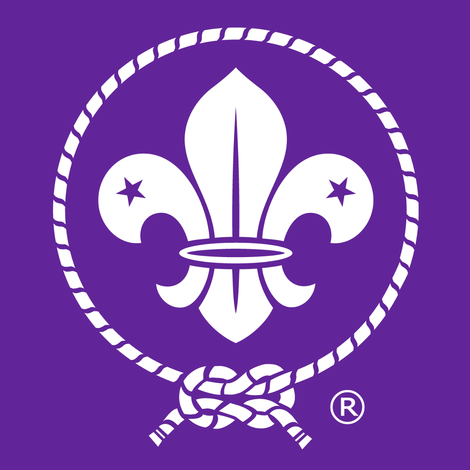WOSM – 233pdhcontrast
