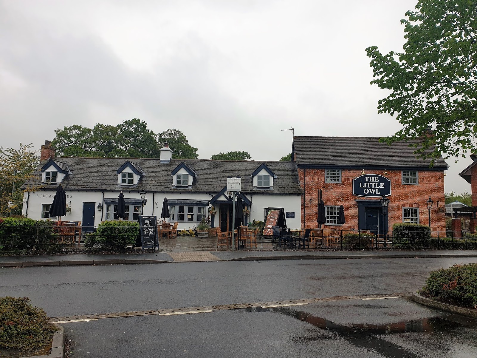 AD REVIEW THE LITTLE OWL SOLIHULL PRETTY YOUNG THING