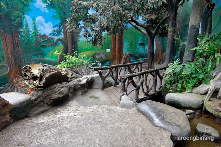 taman akuarium air tawar tmii