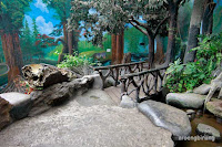 taman akuarium air tawar