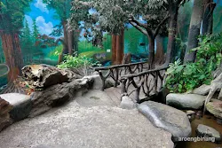 taman akuarium air tawar tmii