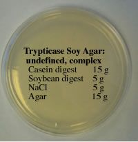 Pharmaceutical Microbiology Trypticase Soy Agar Tsa Plate