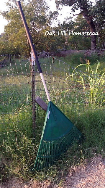 A green plastic fan rake leaning against a fence.