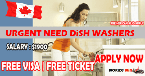 Urgent Need Workers Dish Washers In Canada Worldswin Find Job