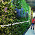 Vertical Garden Surabaya - Jasa Pembuatan Vertical Garden Surabaya Vertical Garden Surabaya - Jasa Pembuatan Vertical Garden Surabaya