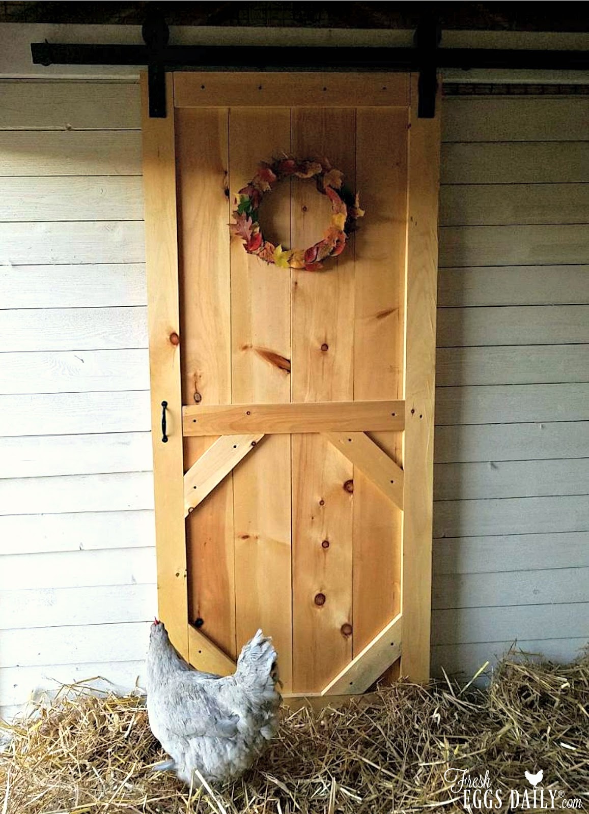 How (and Why) to Install a Sliding Barn Door in your Chicken Coop