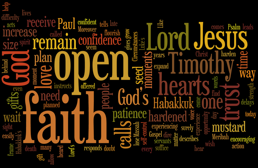 our lady of mount carmel mill valley sunday gospel reflection if you have faith the size of a mustard seed