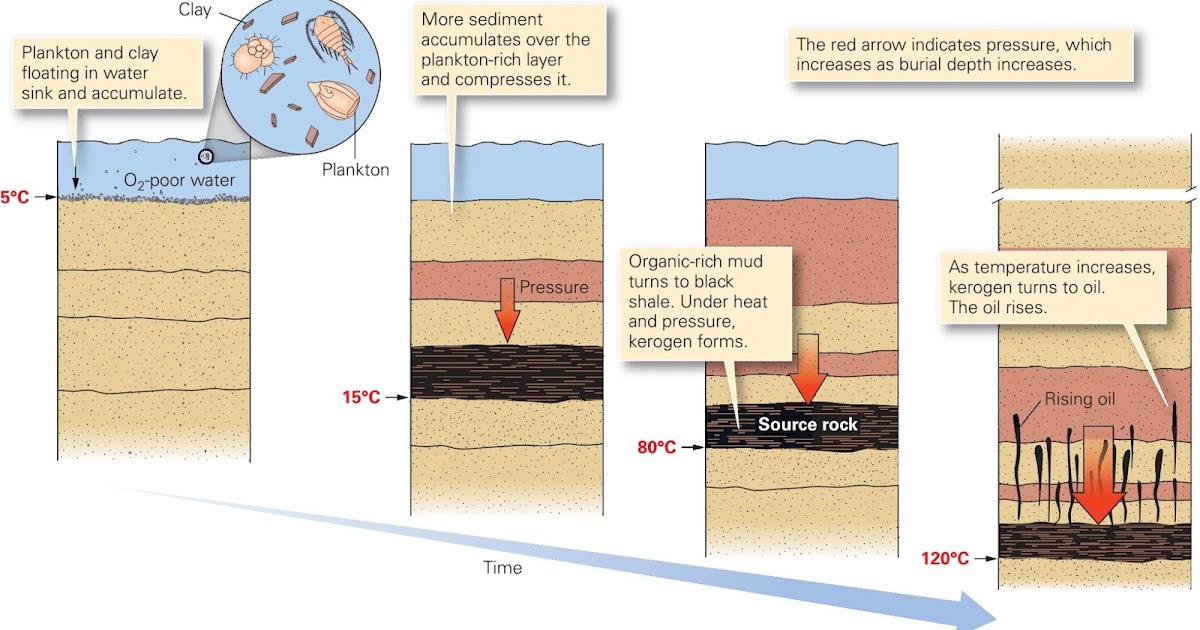 Learning Geology Oil and Gas