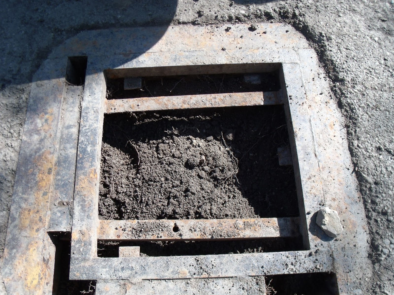 Gear Acres at Top of the Hill: Shingles and a Drain