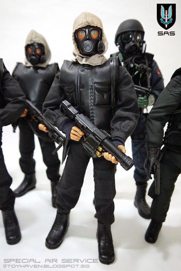 sas model figures
