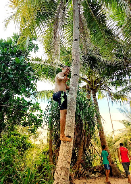 kebiasaan orang maluku kebiasaan orang maluku
