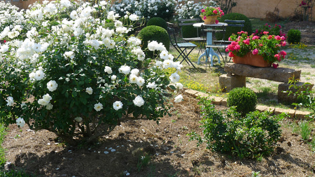 Jardim Impressionista da Pintora Raquel Taraborelli Brasil Sorocaba Votorantim SP / Arte Artista / Garden Impressionist Art Artist Painter / Pittore Giardino / Jardin impressionniste Artiste peintre art