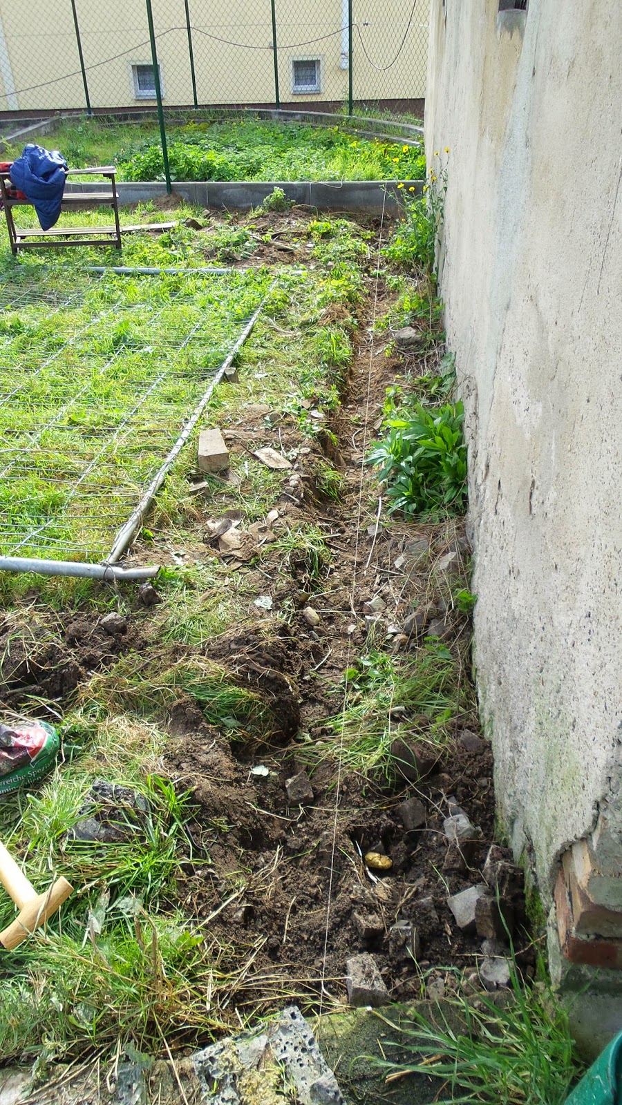 Ein Haus für Mensch, Hund, Katze und Maus Oktober 2014