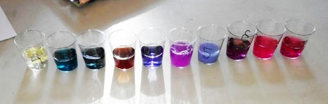 range of acids and alkali being tested in red cabbage water pH indicator
