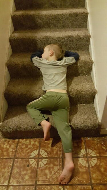 15+ Hilarious Pics That Prove Kids Can Sleep Anywhere - Climbing The Stairs Was Too Hard.