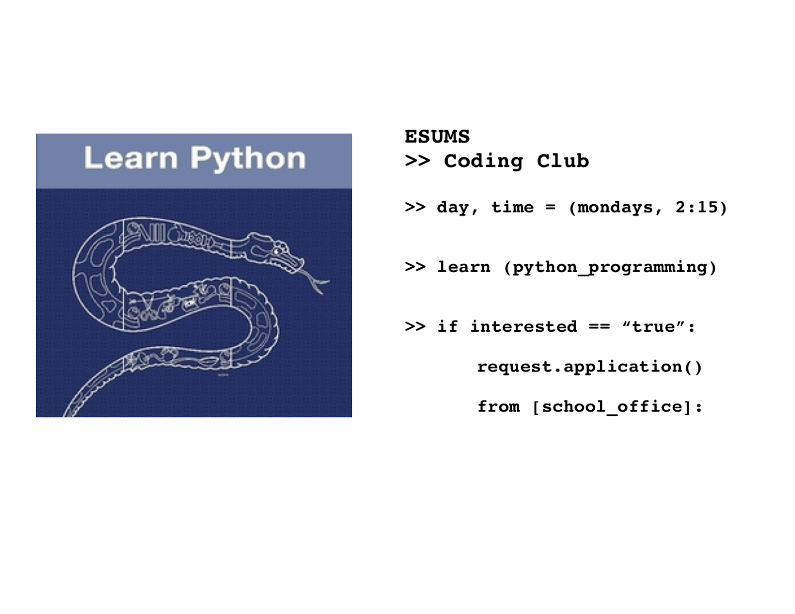 ESUMS PTO Announcements: ESUMS Computer Coding Club