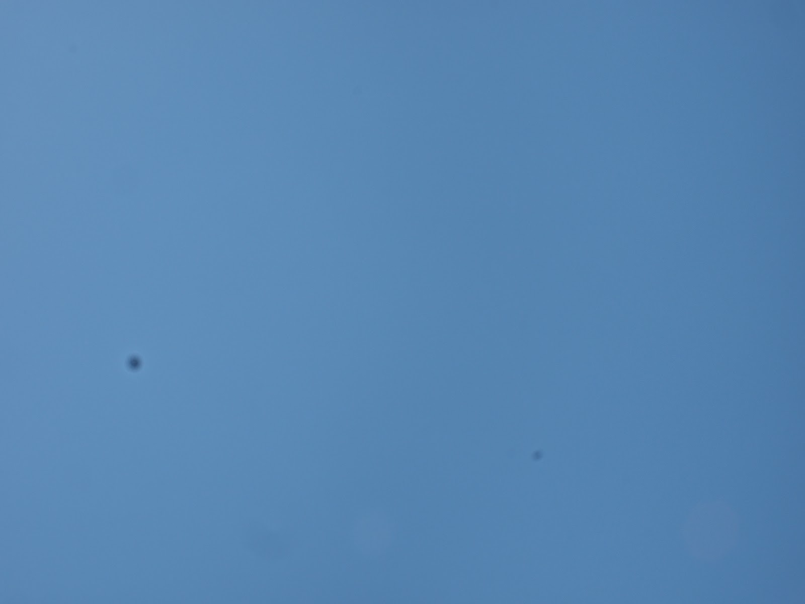 F22-1.JPG