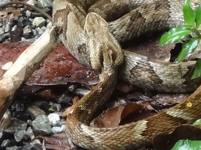 PETAR - Núcleo Caboclos